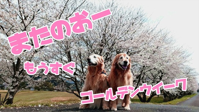 d5ad3940-7ba9-407a-a382-1b42b8f719cb_R