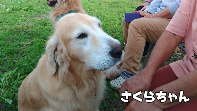 KIMG0796_02_BURST1000796_R