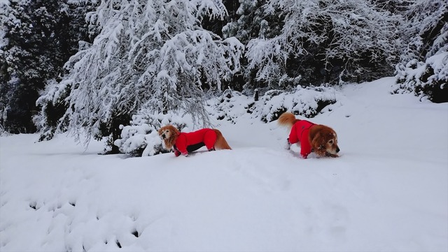 20260103_083729278_R