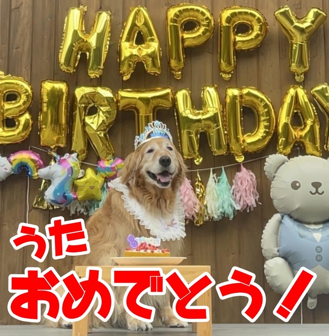 4398cbe6-711e-4151-a44e-4ec08ccc6e27