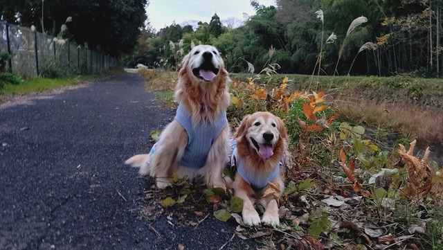 20251207_152539539_R