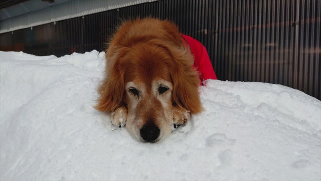 20260208_095529549_R