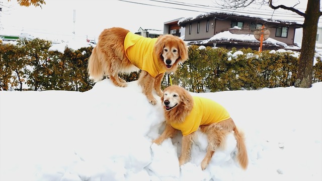 20260128_093823218_R