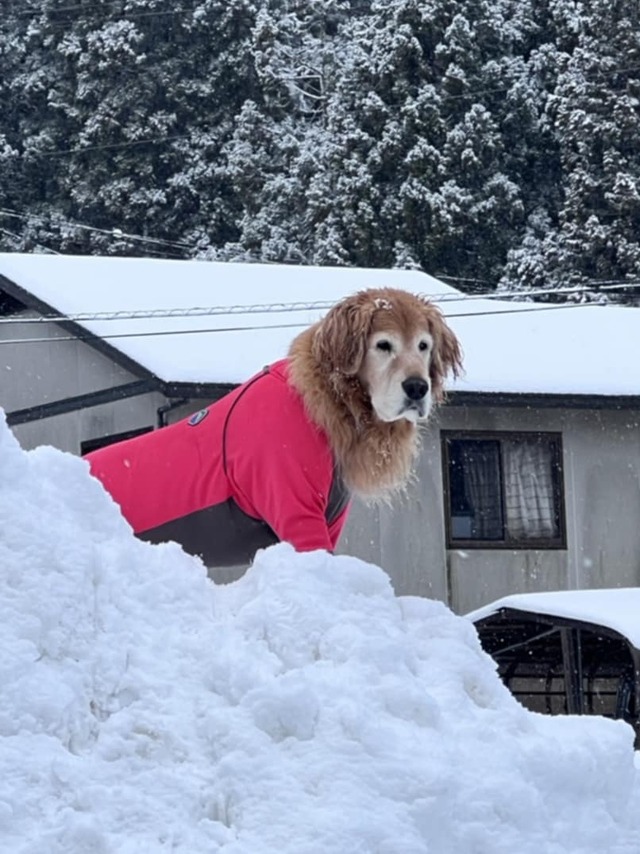 c173819f-5d5b-4112-8c20-044114827342