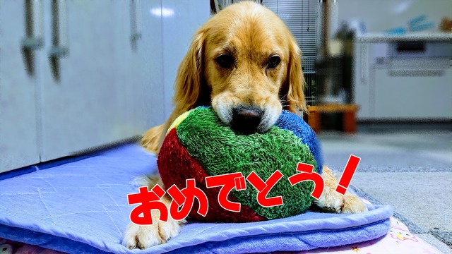EFFECTS(2)_R