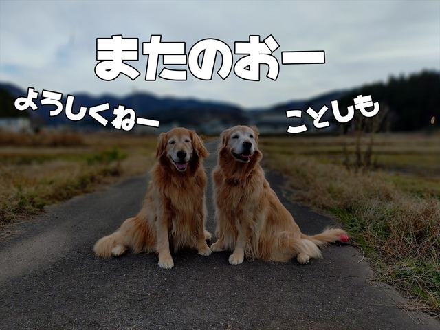 20251223_152720681_R