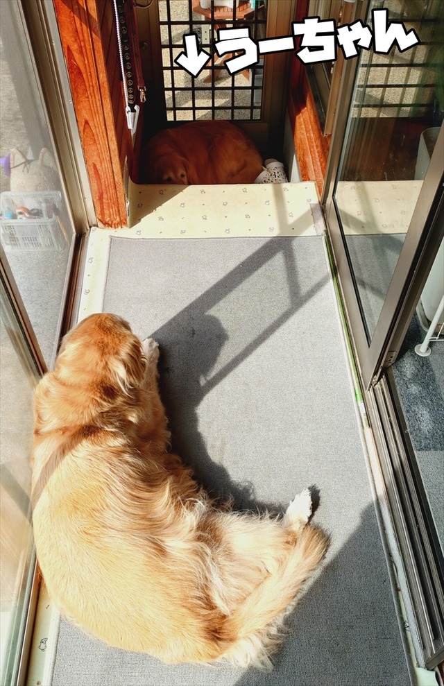 20251102_105036108_R