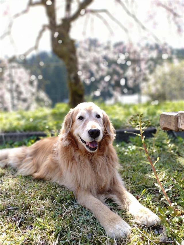 9be20e0f-bdd4-464a-a89b-c52e7f84aa25_R