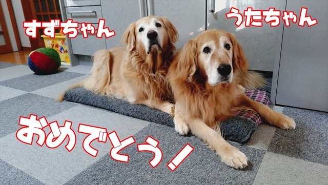 20251229_121213867_R