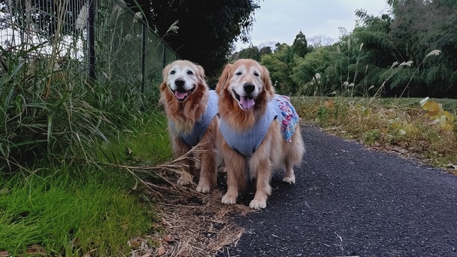 20251207_152631087_R