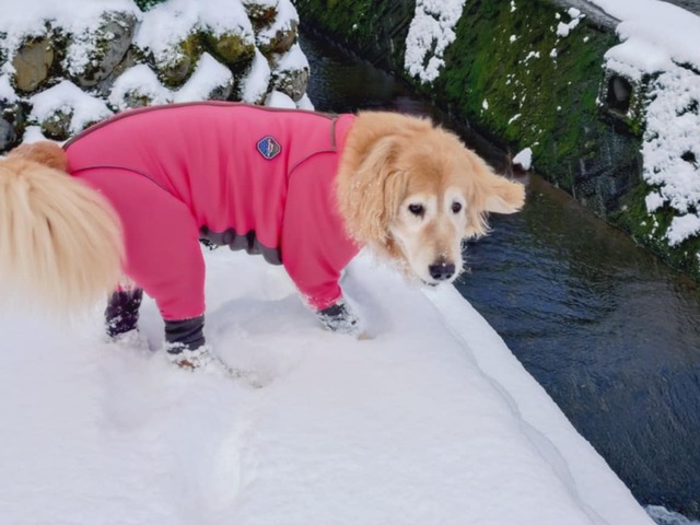 2950e866-6da7-4234-ac6c-726704bacc1d