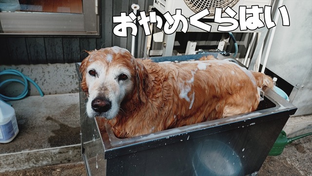 20251106_101114711_R