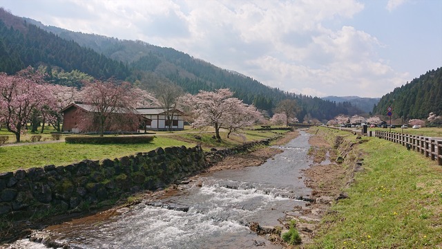 DSC_0871_R
