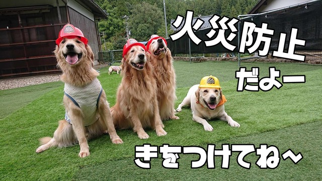 received_1275649449806617