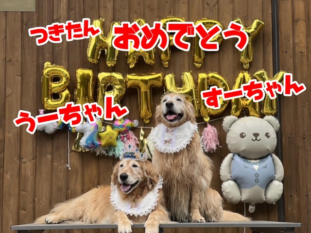 168323ae-6720-4e48-bcb3-79cc051735dd