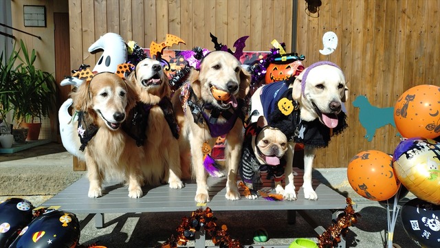 20251018_090504815_R