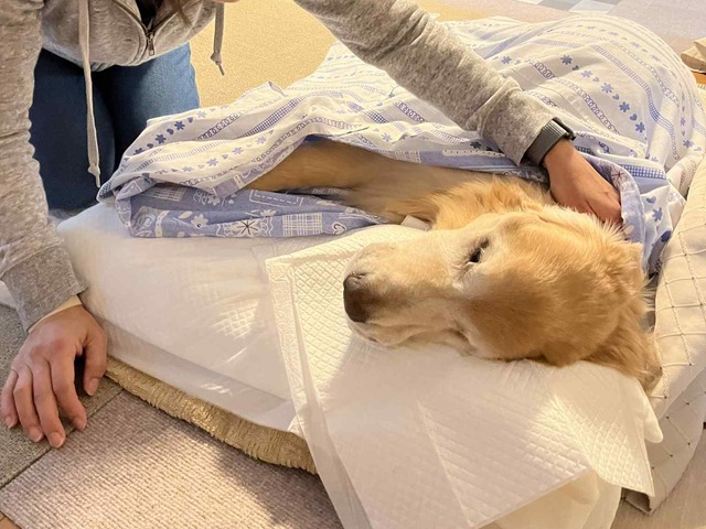 d8dcb07c-e8aa-4380-89ba-eac13c8b9ee9