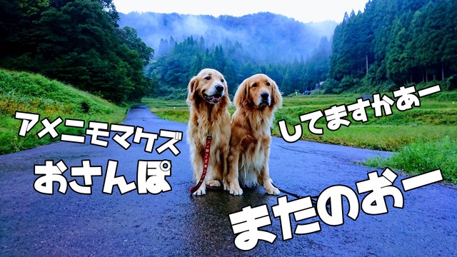 EFFECTS_R