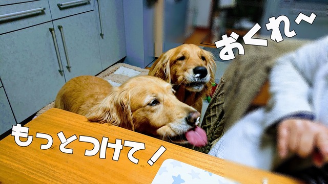 EFFECTS(2)_R