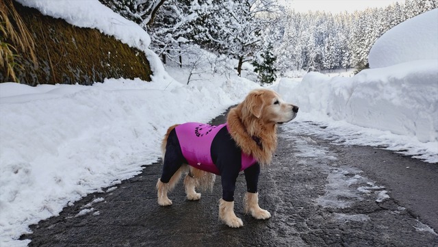 20260126_155843109_R