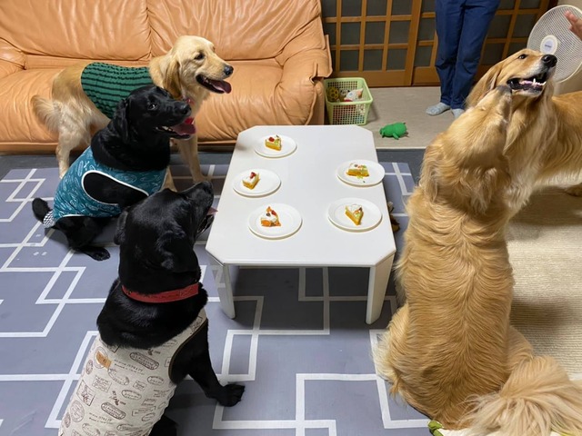 107604924_985628818535373_7154727808582530191_n