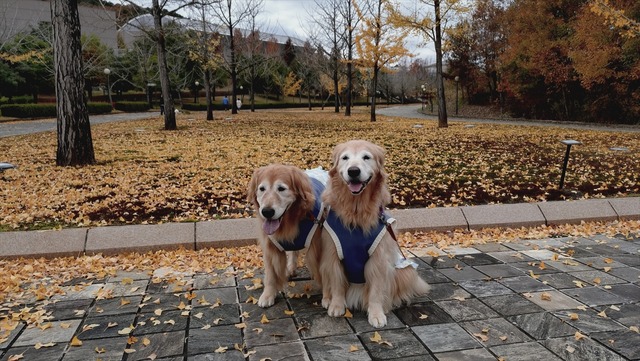 20251122_152939289_R