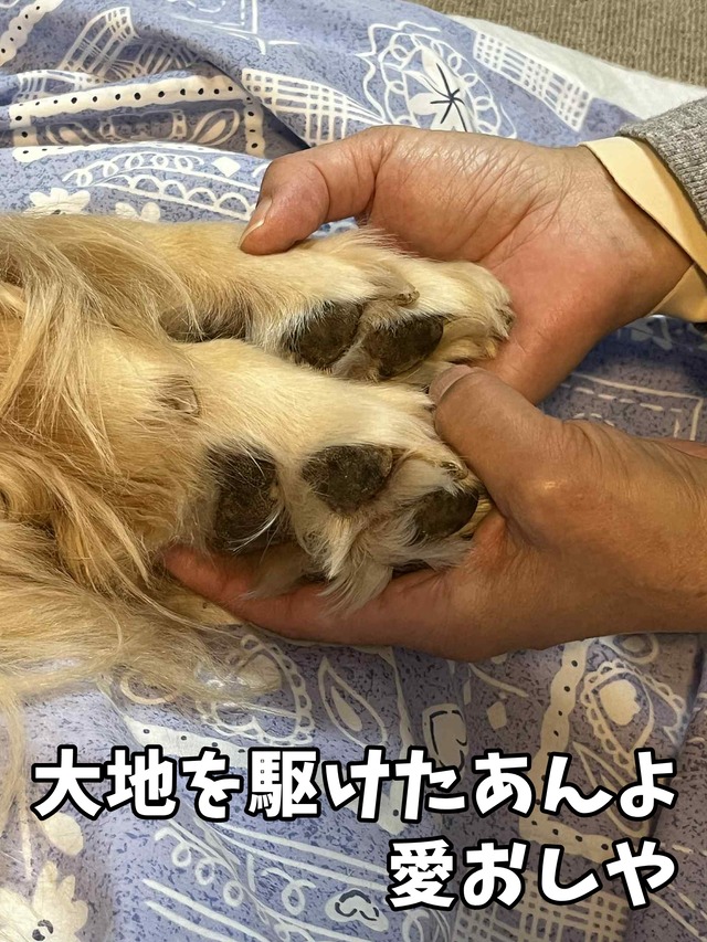 19484ec0-03db-4bc7-ade8-5f461b21809b