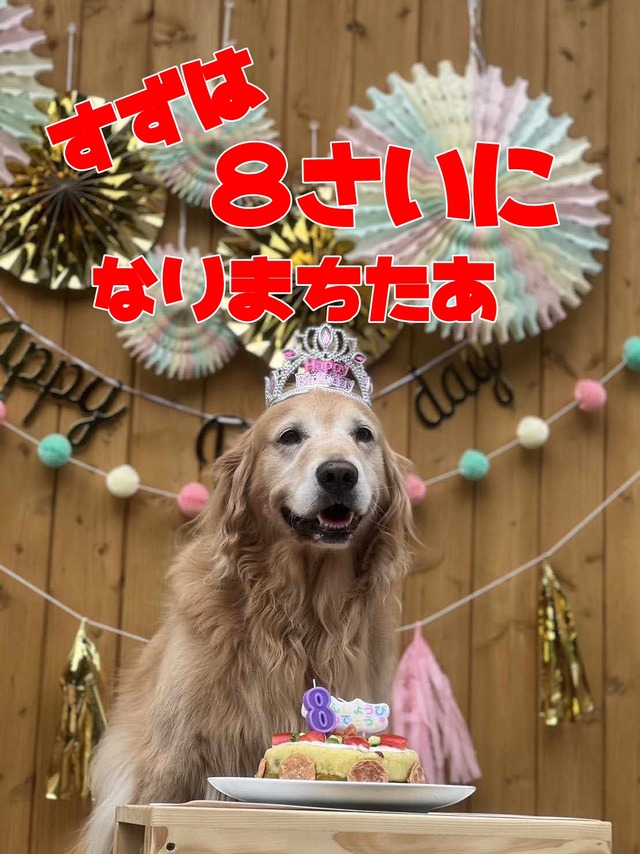 received_285296401008834