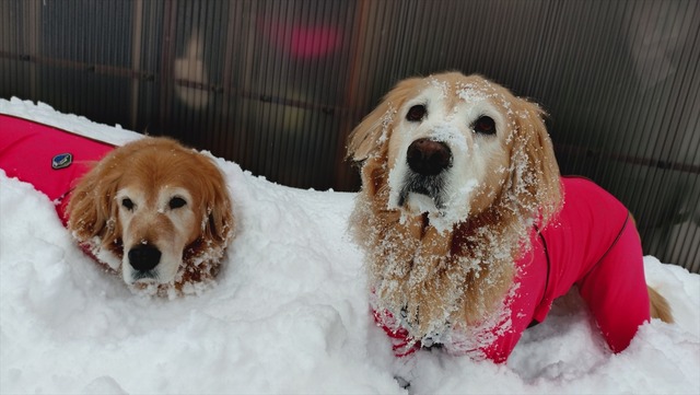 20260126_080258769_R