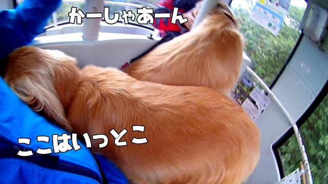 FHD000800h03m13s50_R