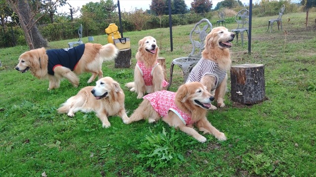 KIMG0775_02_BURST1000775_R