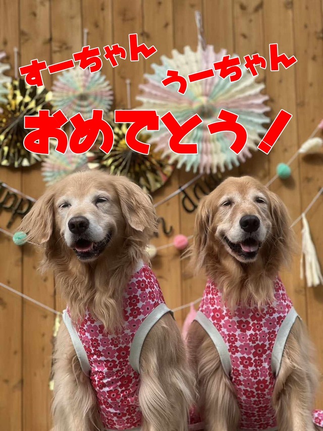 received_794059322730642
