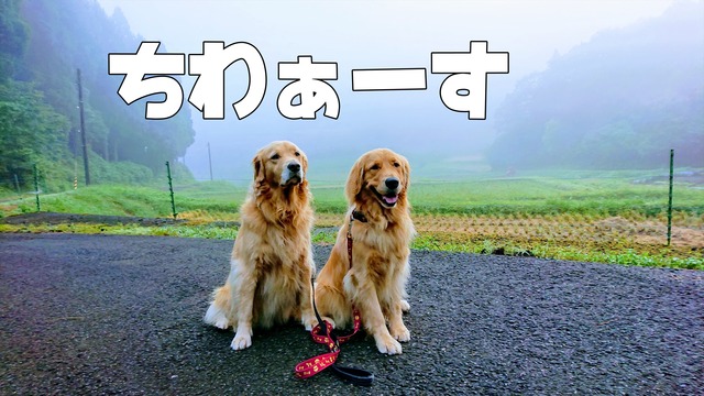 EFFECTS_R