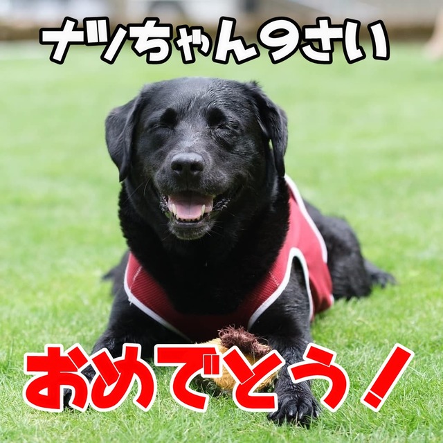 107500951_2805156319704758_3838133640204838794_n