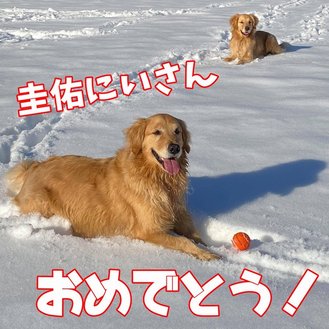 82148806_492088165063764_2909240366173519872_n