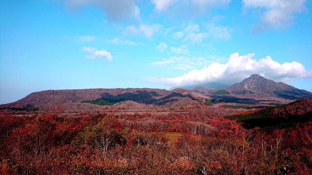 DSC_8783_R