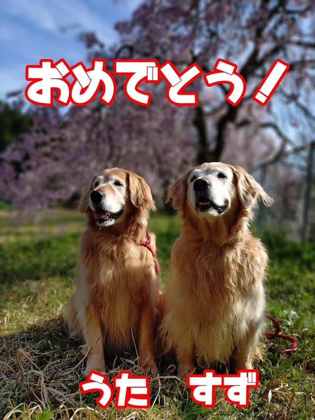 db2b757b-806e-4b45-9bdd-90a5a1006d60_R