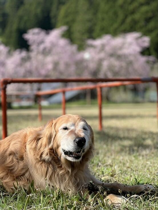 5eda5c5e-ac6f-4f7a-aabe-a36e068eaf26_R