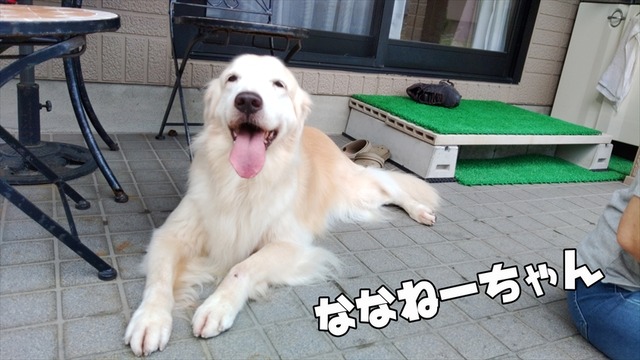 KIMG0279_R