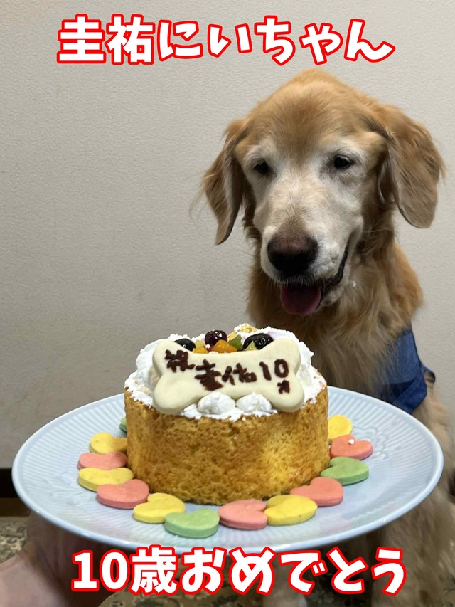 00aeed47-9243-4ebe-be1d-769169afb734