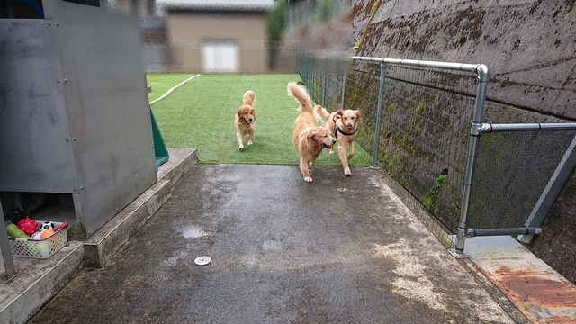 DSC_1843_R