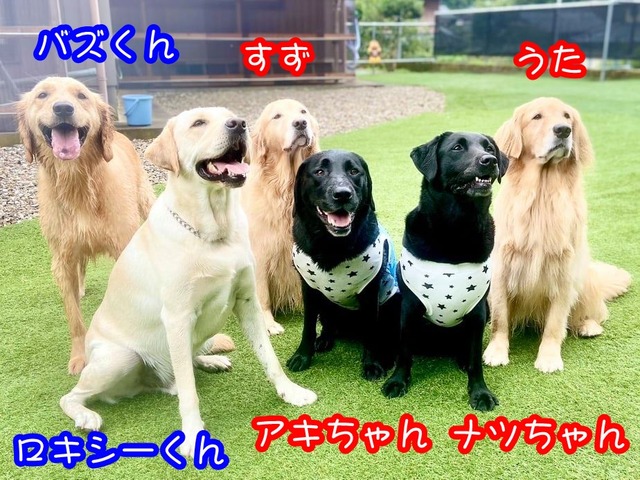 241801816_374392890905504_6964327272647264315_n