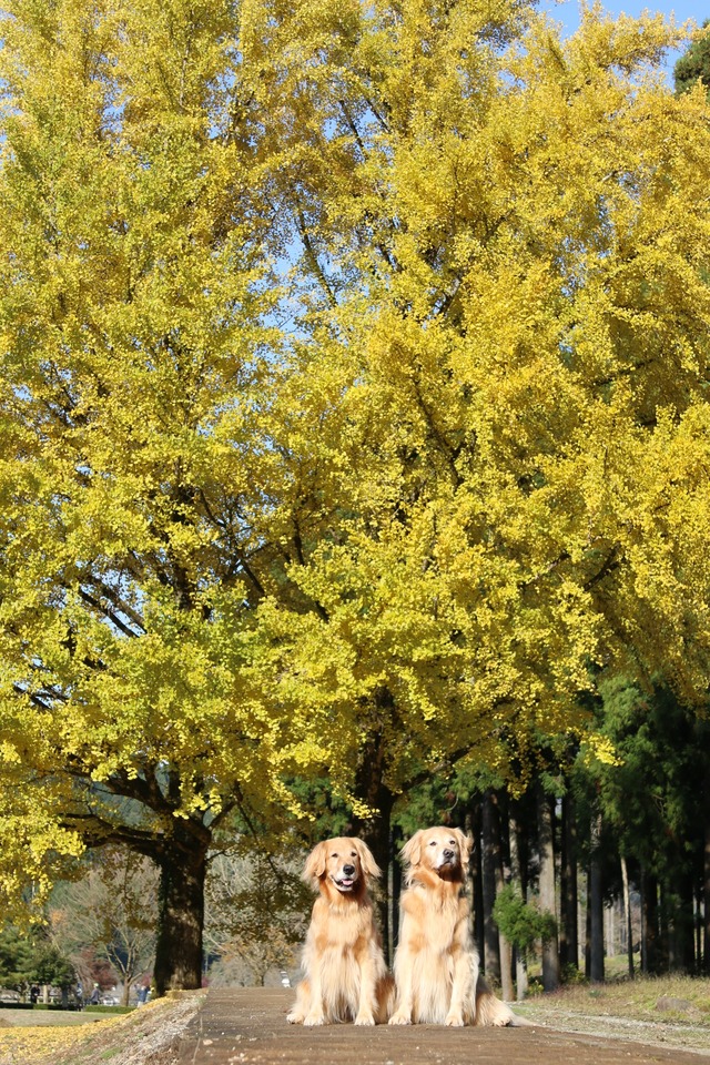 IMG_0807
