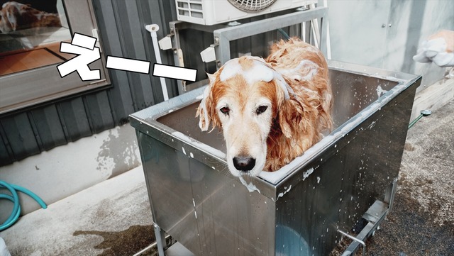 20251106_095430914_R