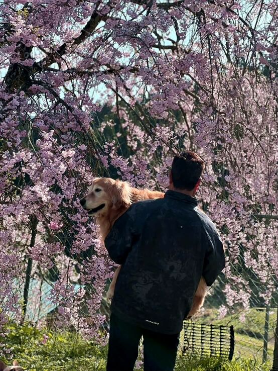 d6a9b262-e0c4-4687-8461-6b67ea135fea_R