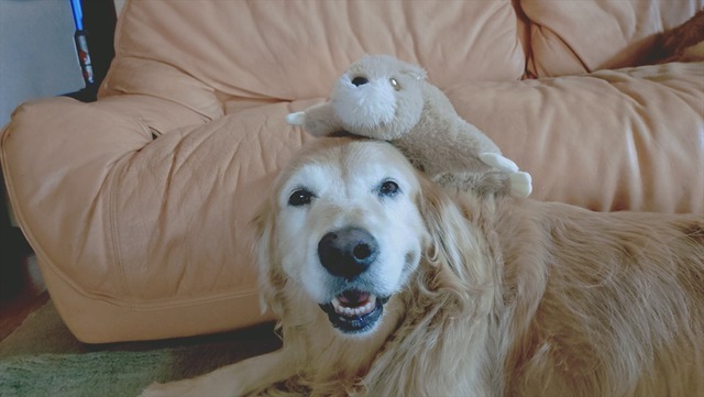 20251103_122521575_R