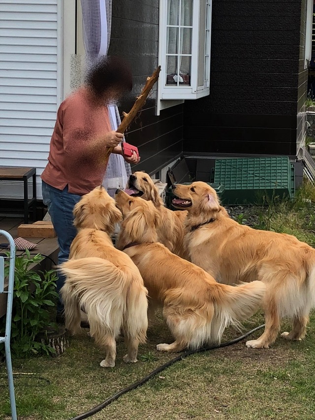 60424740_436590347168839_2441526712631033856_n_R
