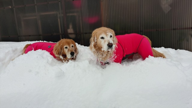 20260126_080311397_R