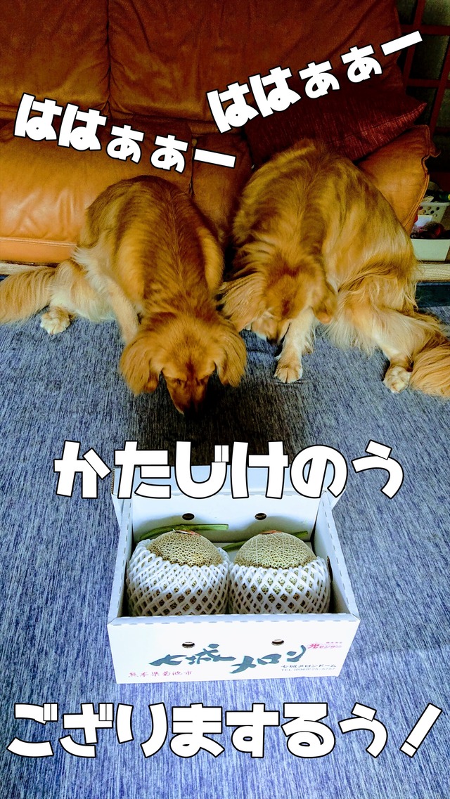 EFFECTS(2)_R