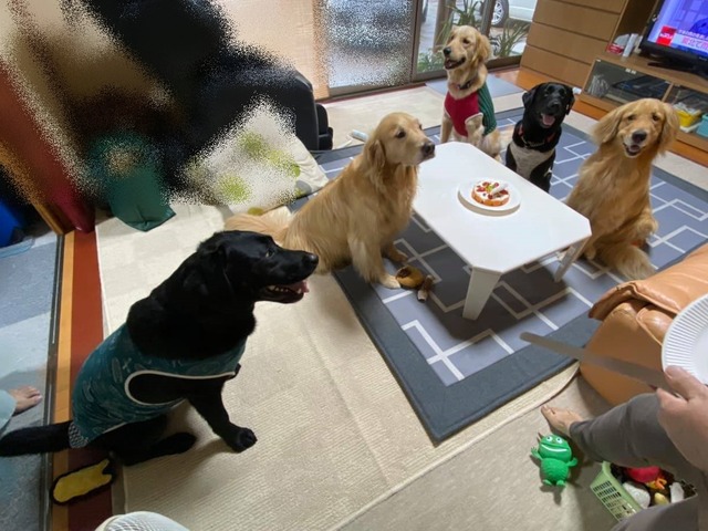 107693212_279065870208405_7707233663657872171_n
